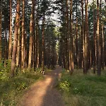 Melyna Jura Apartamentai Palanga