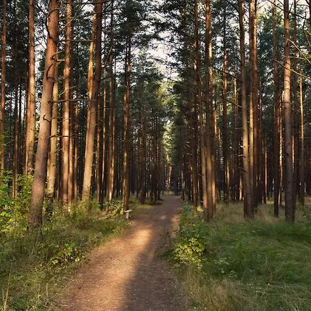 Melyna Jura Apartamentai Palanga