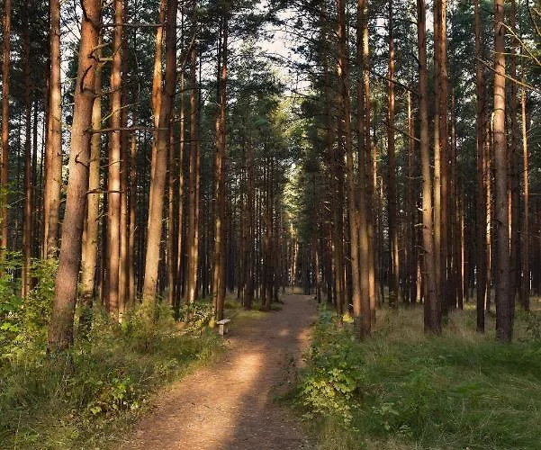 Melyna Jura Apartamentai Palanga